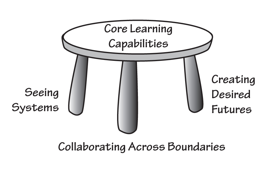 LEARNING CAPABILITIES FOR SYSTEMIC CHANGE