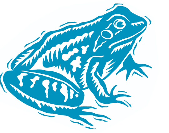 daily survival pressures may lead us to rationalize that the goal