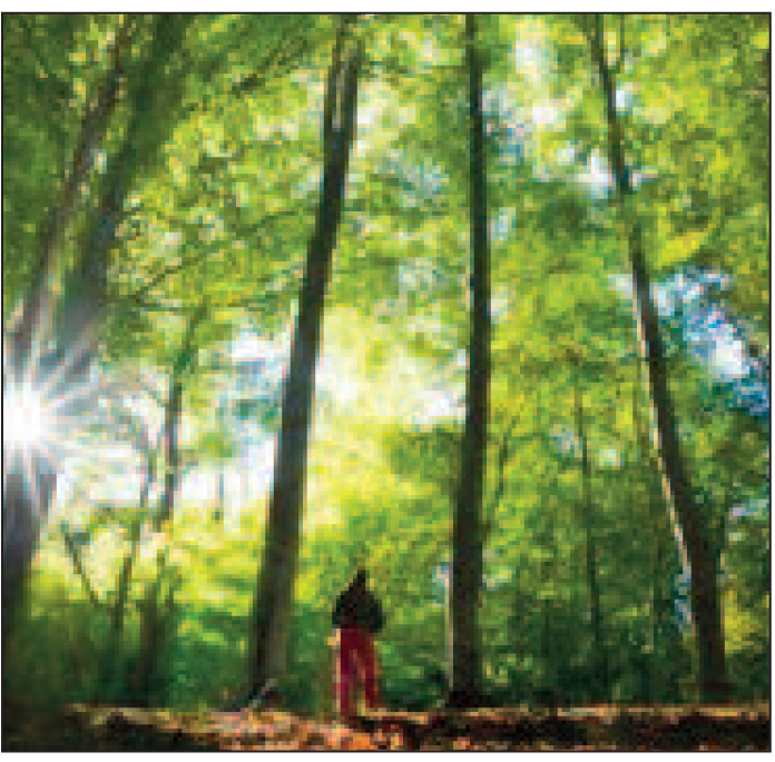 Imagine that you are standing outside