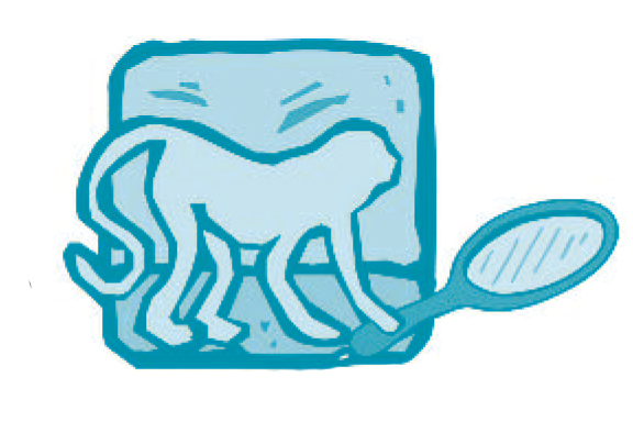 Additional studies proved mirror neurons in humans to be even more numerous