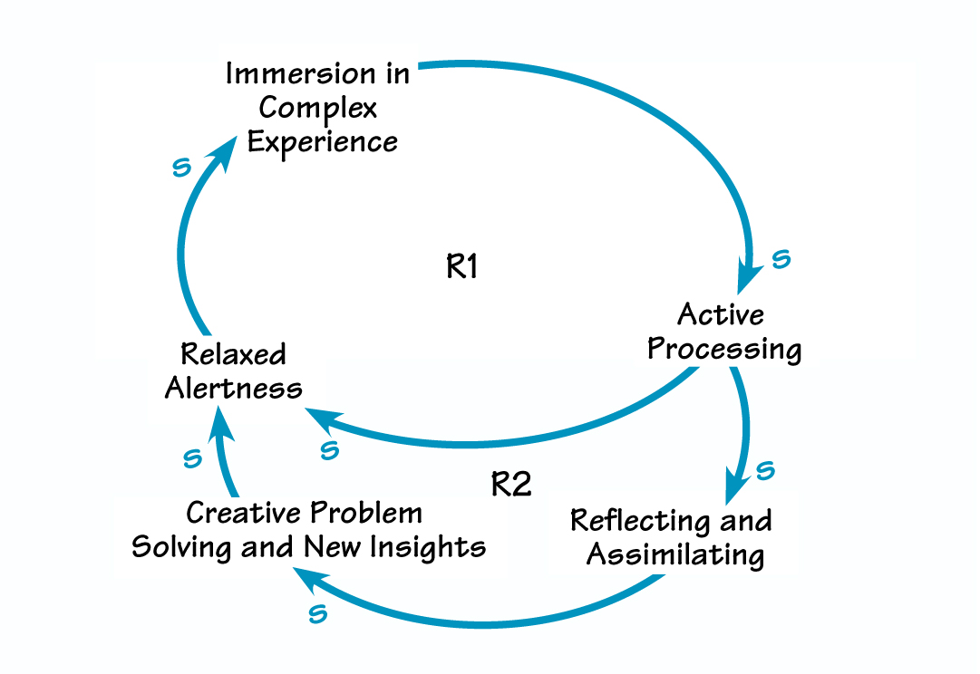 THE EXPERIENTIAL LEARNING CYCLE