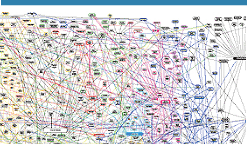 THE SYSTEMS GENEALOGY